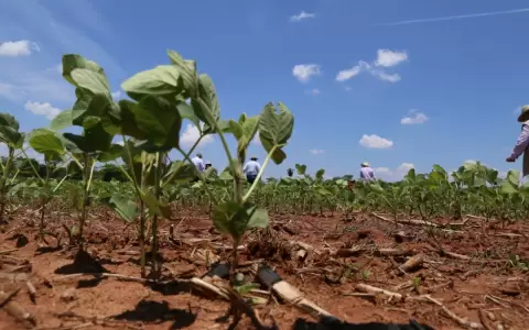 Recesi�n econ�mica mundial podr�a incidir negativamente en los commodities