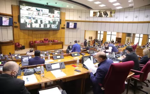 Senadores alegan "error de tipeo" tras reducir penas por lesi�n de confianza