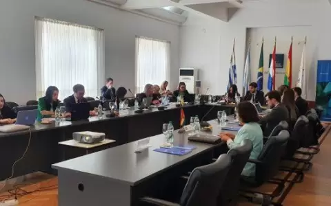 Mercosur aprob� pedido de Paraguay de reducci�n arancelaria para medicamento