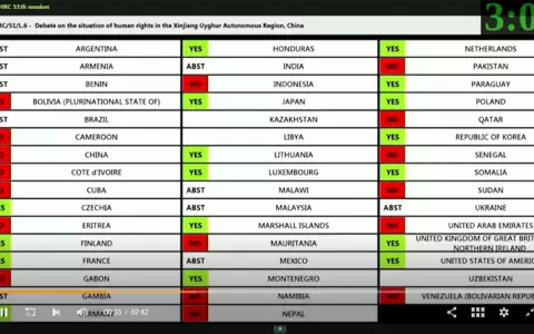 Con ayuda de 6 gobiernos de Am�rica Latina, China evit� debate en la ONU sobre abusos en Xinjiang