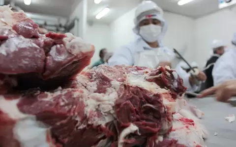 Exportaci�n c�rnica supera las 263 mil toneladas al mes de setiembre