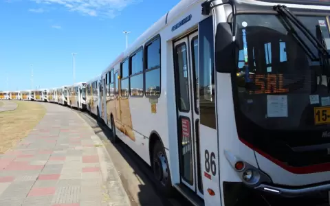 Viceministerio de Transporte registra aumento de viajes en buses p�blicos