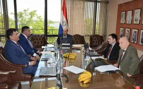 Olmedo y Ben�tez abandonaron el Congreso pr�cticamente huyendo