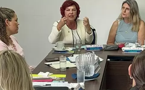 Seminario latinoamericano: paraguaya busca mayor participaci�n de mujeres en pol�tica