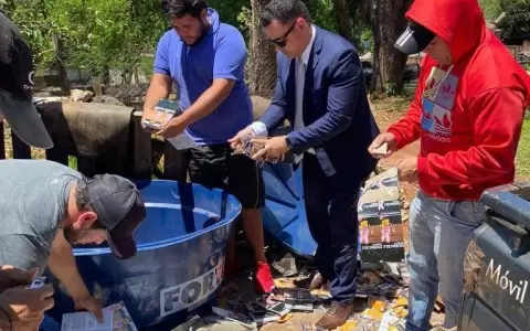 Sacan de circulaci�n importante lote de productos falsificados por valor de G. 800 millones
