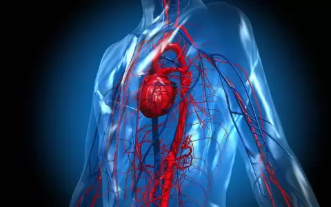 El 20% de las muertes por enfermedades cardiovasculares est�n asociadas a la contaminaci�n del aire