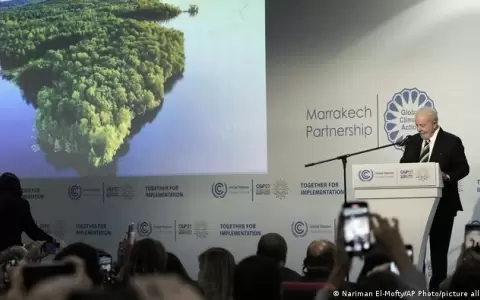 Deforestaci�n cero: la promesa de Lula para salvar la Amazonia y el clima