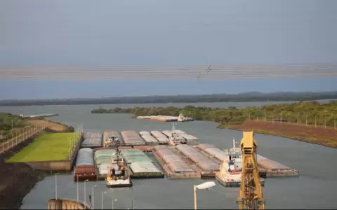 Brasil y Argentina son los principales destinos de exportaci�n del pa�s