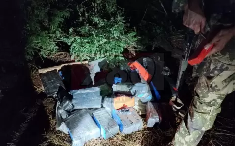 Encuentran carga de droga que estaba lista para ser enviada a Brasil