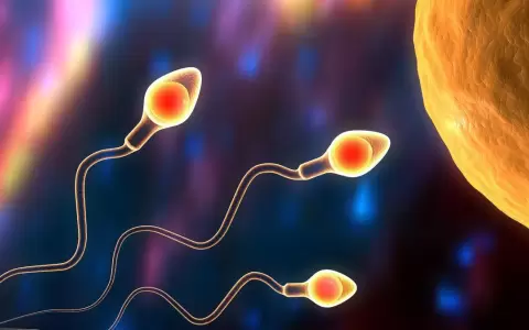 Descubren una alarmante disminuci�n del recuento de espermatozoides a nivel mundial