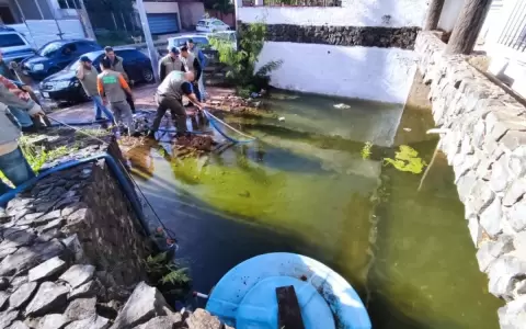 Asunci�n anuncia intervenci�n y multas a propietarios de casas con criaderos