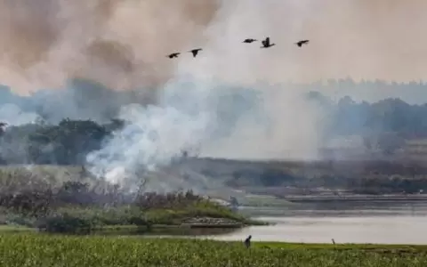 Semana de la Econom�a Verde para impulsar estrategias frente al cambio clim�tico