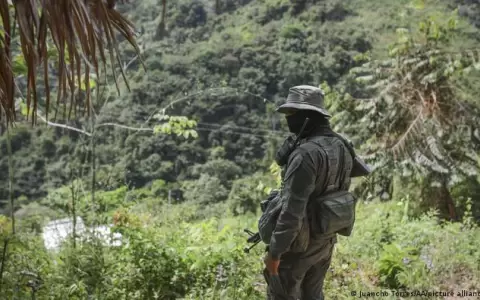Grupos armados se enfrentan en Colombia y dejan 18 muertos