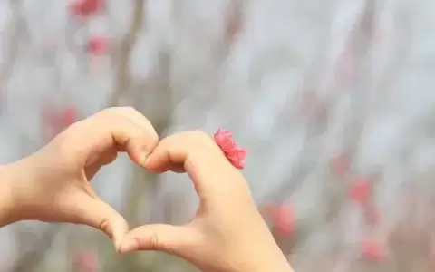 Este martes se celebra �Un D�a Para Dar�, el movimiento solidario m�s grande del mundo