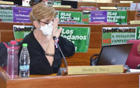 No prospera postergaci�n del proyecto del IPS y contin�a en el orden del d�a