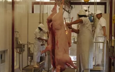 Taiw�n autoriz� el ingreso de carne porcina paraguaya a su mercado