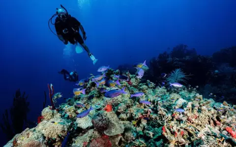 Costa Rica y Belice, los pa�ses que redujeron su deuda externa gracias a que cuidan su naturaleza