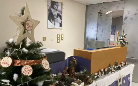 �Atenci�n hospitales!: recomiendan moderar uso de arreglos navide�os en establecimientos de salud