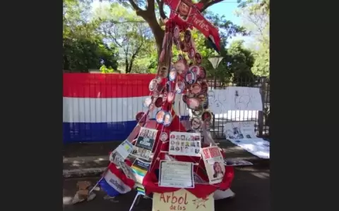 Colocan �rbol de la corrupci�n frente a la sede del Poder Judicial