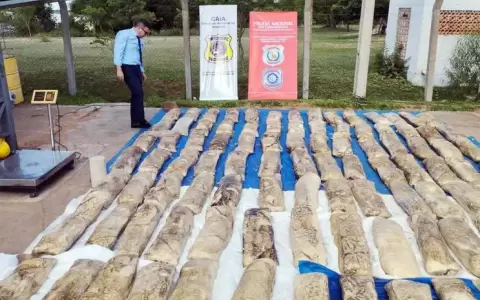 M�s de 1.600 kilos de coca�na estaban ocultos entre granos de soja