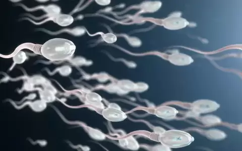 Cinco claves para prevenir los problemas de fertilidad masculina