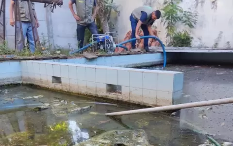 Municipalidad de Asunci�n interviene vivienda en lamentable estado con criaderos de mosquitos