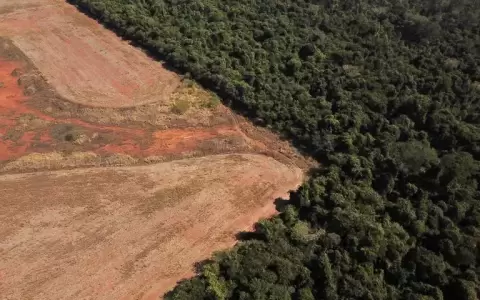 La Uni�n Europea prohibir� las importaciones cuyo origen cause deforestaci�n