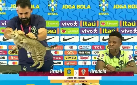 �Por qu� los gatos se transformaron en las mascotas m�s populares?