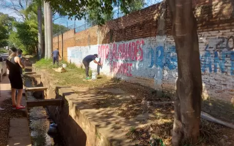 Ma�ana concluye periodo de propaganda electoral para elecciones internas