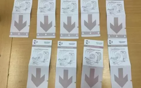 Fiscal�a imputa a un hombre por supuesto fraude electoral