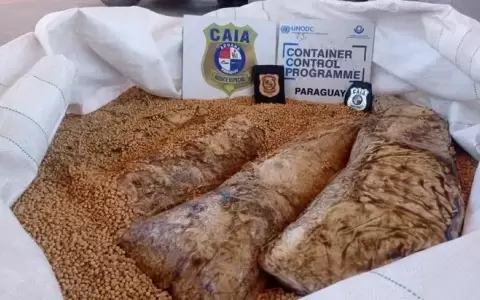 �eembuc�: encuentran gran cantidad de coca�na oculta entre granos de soja