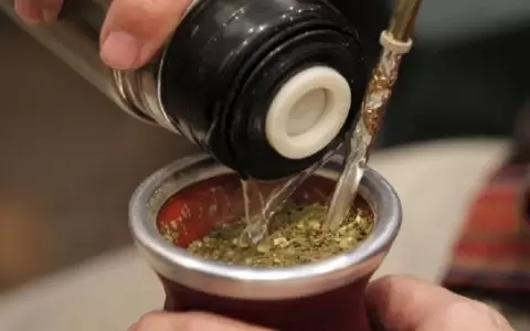 Descubren que el mate complica uso de f�rmacos para el hipotiroidismo