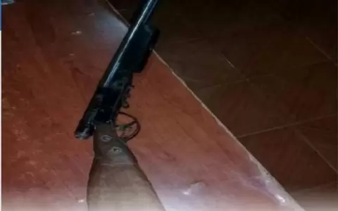 Ni�o de 8 a�os mat� de un escopetazo a su hermanita