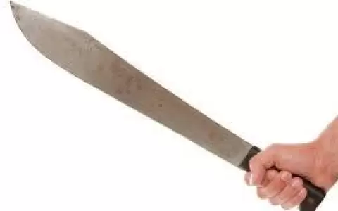 Fiscal�a abre proceso contra un joven que habr�a asaltado con machete a una mujer