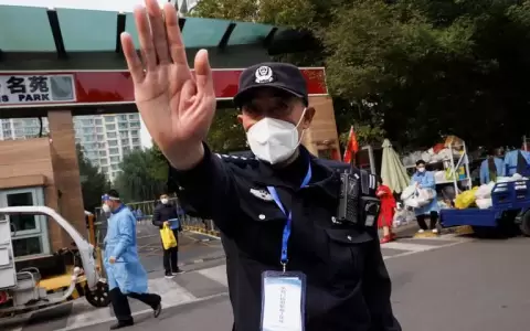 Jap�n tambi�n investiga la presencia de comisar�as secretas chinas
