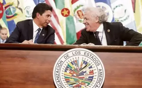 Misi�n de la OEA entregar� informe al Consejo Permanente este jueves 1 de diciembre