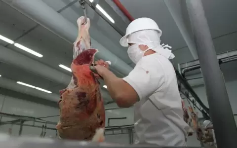 Destacan importancia del mercado de EE. UU. para la carne paraguaya