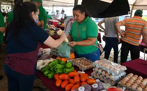 Productores de Central y Cordillera fortalecieron sus emprendimientos agr�colas