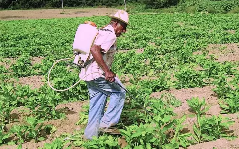 Guerra entre Rusia y Ucrania afect� compra de fertilizantes