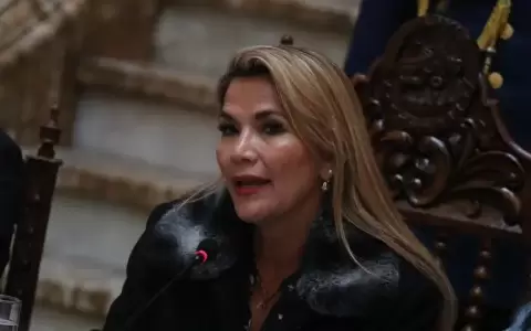 Jeanine ��ez demandar� al Estado boliviano ante la CIDH tras conocerse que ser� juzgada por v�a ordinaria
