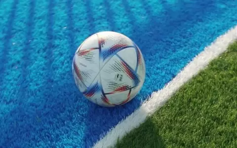 FIFA le puso fin a la pol�mica del segundo gol de Jap�n ante Espa�a