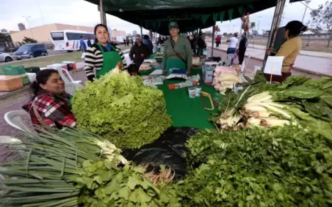 Feria de la Agricultura Familiar Campesina se realizar� este martes en la Costanera de Asunci�n