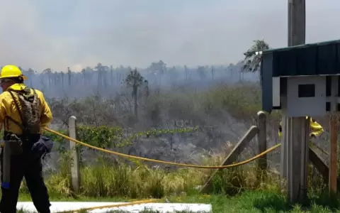 Tremendo incendio forestal en la zona Luque- San Bernardino