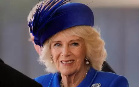 La reina consorte asumir� el rol del pr�ncipe Andr�s en los actos oficiales de la realeza brit�nica