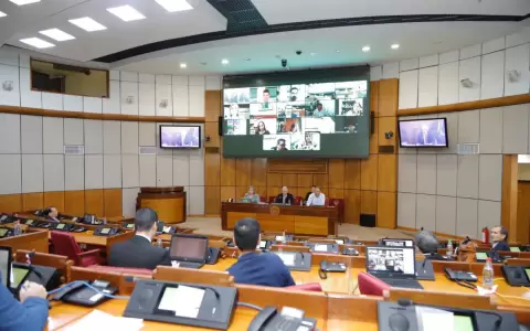 Inicia sesi�n extra en el Senado: comisiones a favor de Rol�n