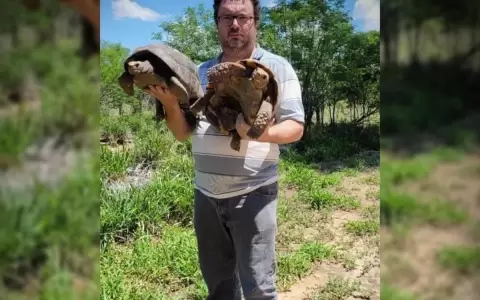 Roban 21 tortugas en peligro de extinci�n de un refugio