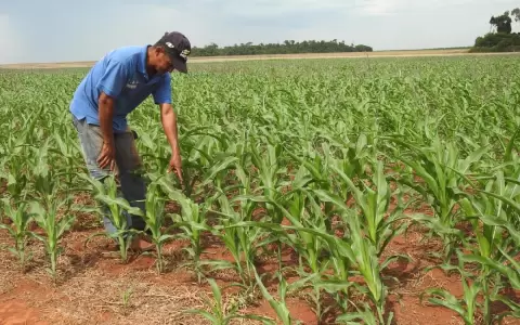 Para el 2023 se aguarda un repunte de la producci�n agr�cola