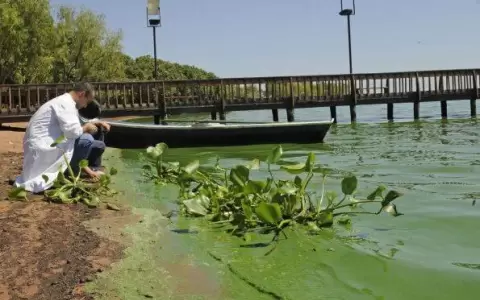 Lago Ypacara�: "Es como ba�arse en un inodoro", se�alan desde el Mades