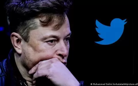 Usuarios est�n a favor de que Elon Musk renuncie como jefe de Twitter
