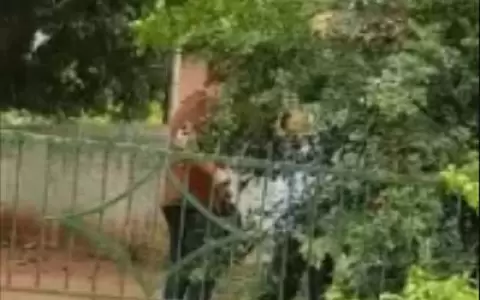 Detuvieron a un hombre que intentaba comprar votos en Asunci�n